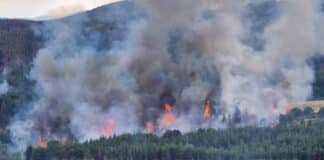 Пожар в Пазарджишко