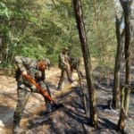 Пожар в Старозагорско