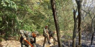 Пожар в Старозагорско