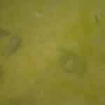 Противопехотна мина