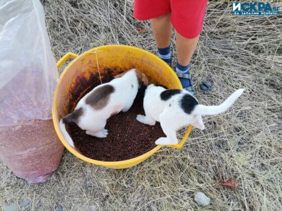 Състезание "Млад рибар"