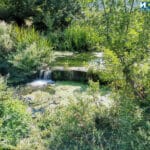 Село Медово