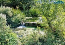 Село Медово