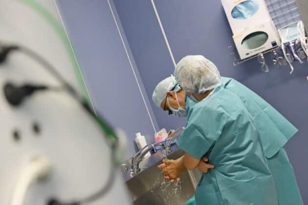 Трансплантация