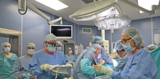 Трансплантация