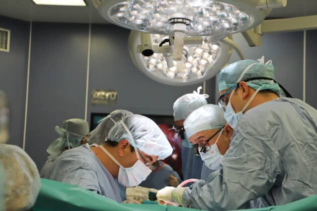 Трансплантация