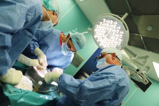 Трансплантация