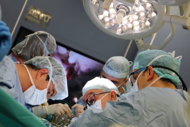 Трансплантация