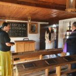 Музей, Трявна