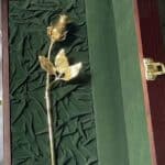 Златна роза