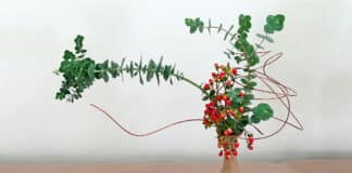 Miracle Ikebana
