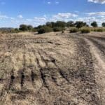 Премахнаха сметището в землището на село Бата