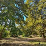 Градинка в Бургас