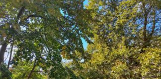 Градинка в Бургас