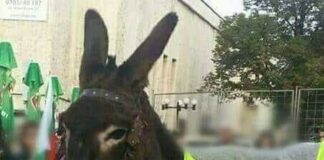 И аз искам да съм депутат