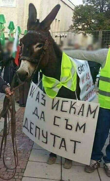 И аз искам да съм депутат