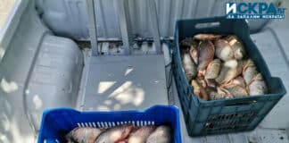 Изземване на риба