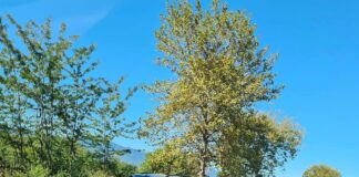 Катастрофа