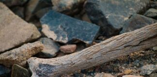 Костен скелет