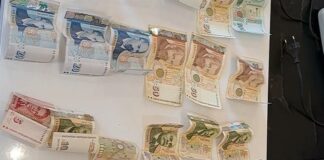 Намерени банкноти в Перник