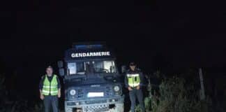 Охрана на лозови масиви