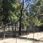 Паднало дърво