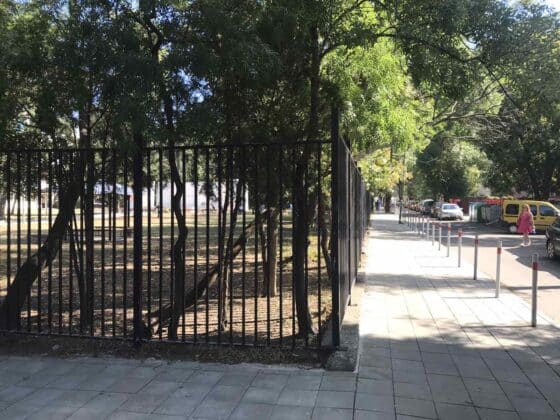 Паднало дърво