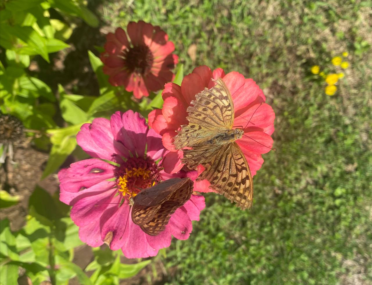 Гърнзи отчита значителен според ежегодното преброяване организирано от съобщава