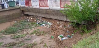 Поражения в Цар Калоян