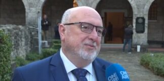 Проф. Милко Палангурски