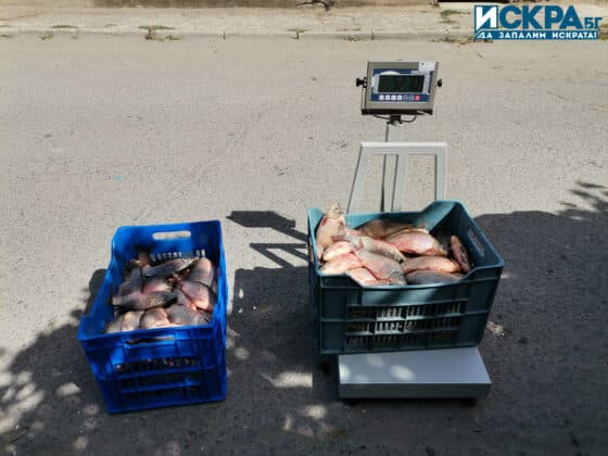 Претегляне на риба