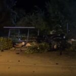 ПТП във Велико Търново