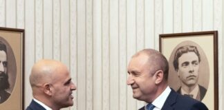 Димитър Ковачевски и Румен Радев