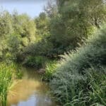 Река Бели Лом