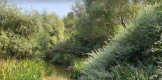 Река Бели Лом