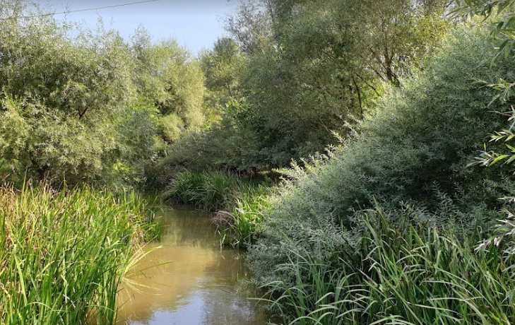 Експерти на Регионалната инспекция по околната среда и водите РИОСВ Русе