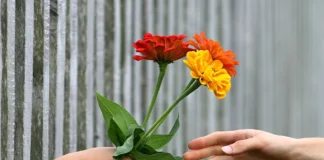 Цветя, букет