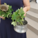 Звънец, училище, училища, първи учебен ден, учебна година