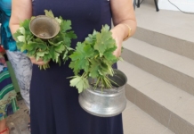 Звънец, училище, училища, първи учебен ден, учебна година