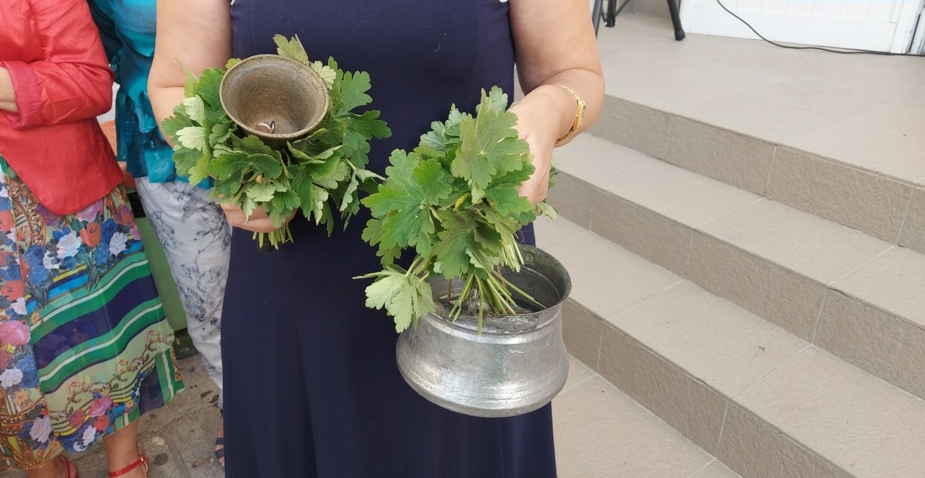 През 2025 г МОН проведе мащабни конкурси за назначаване на