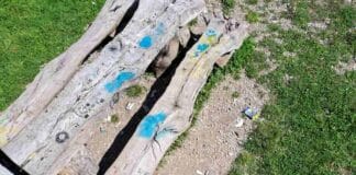 Вандалска проява