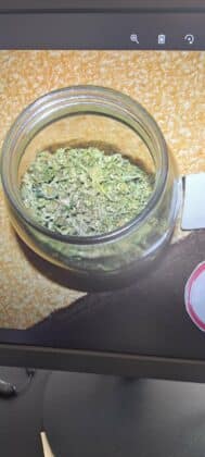 Полицейска акция