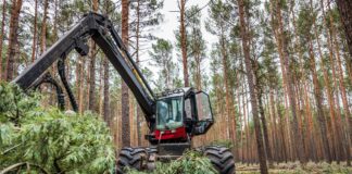 Дърводобив.