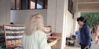 Фестивал във Видин