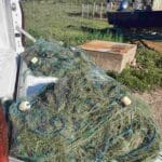 Хрилни мрежи