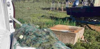 Хрилни мрежи