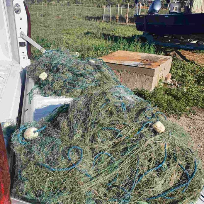 Хрилни мрежи