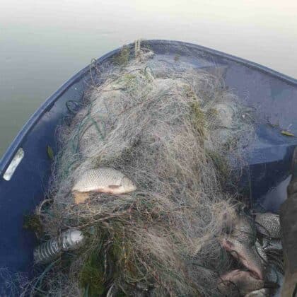 Акции на ИАРА