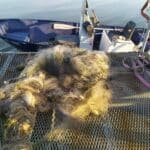 Акции на ИАРА