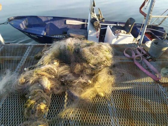 Акции на ИАРА